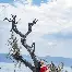 Scout阿森纳夺冠再成焦点(Scout想和Faker中野组合被拒)|IM电竞